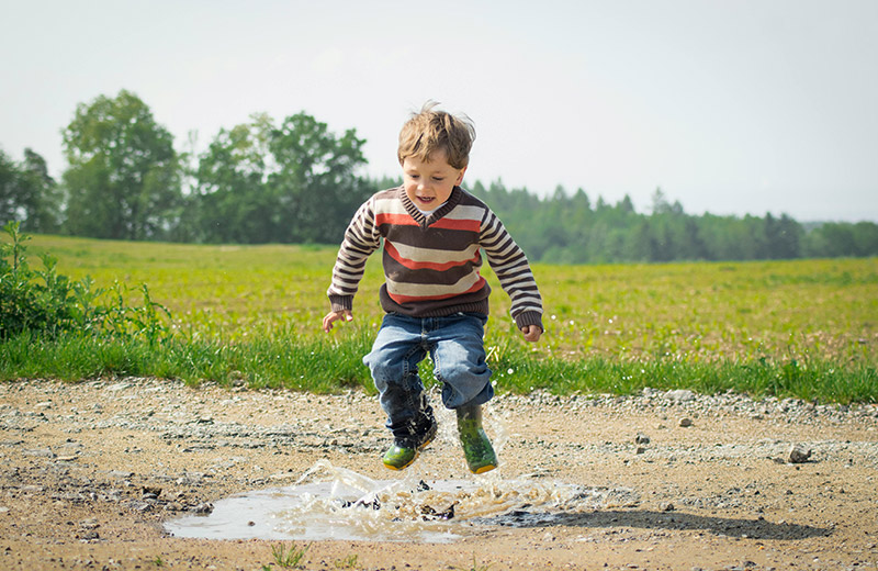 What Are the Standards for the Release of AI Toys?